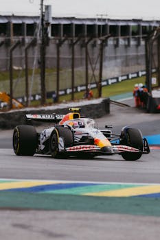 고양이 장난감 고르는 기준 정리